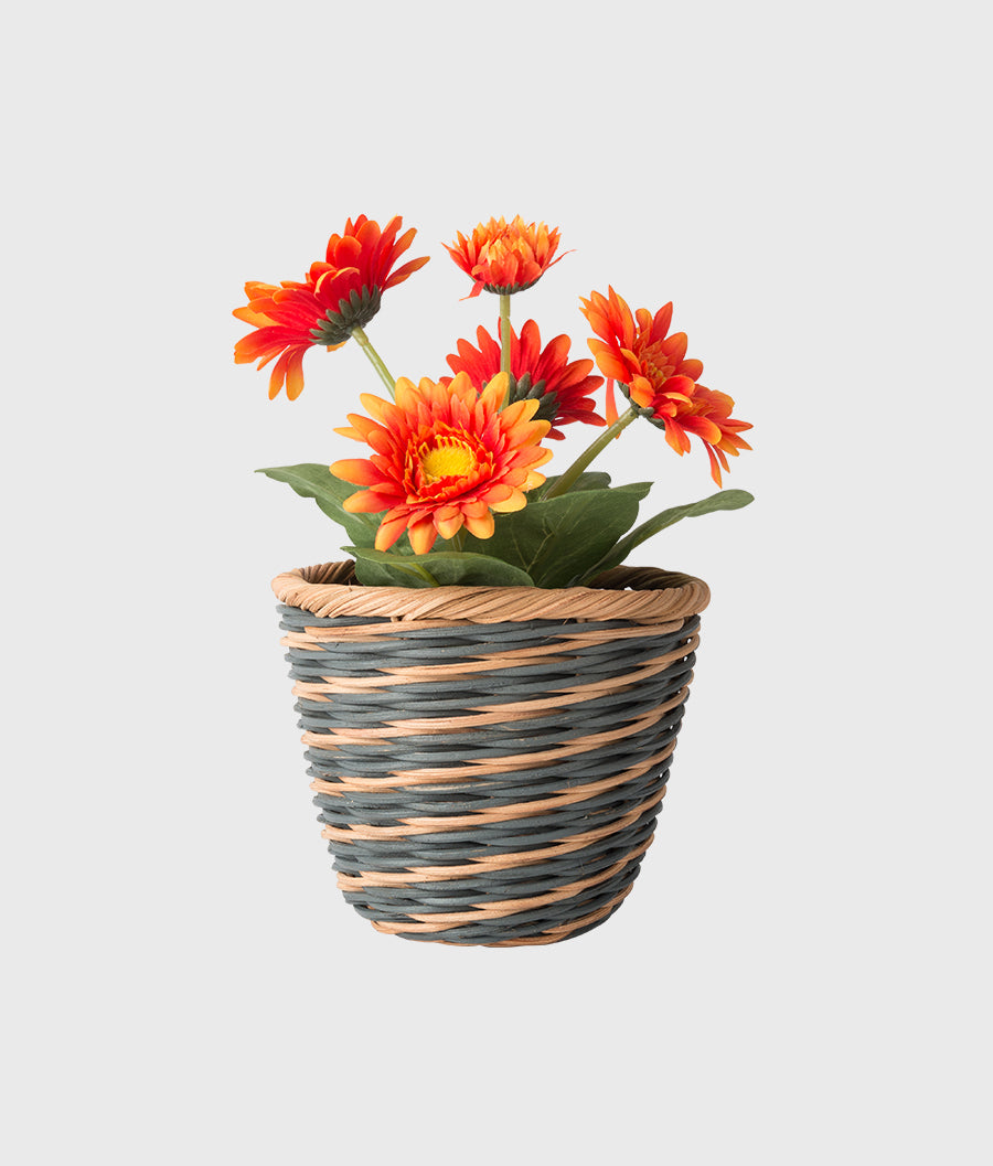 Flower Pot